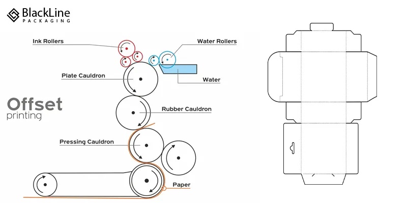 Dielines and Printing Process